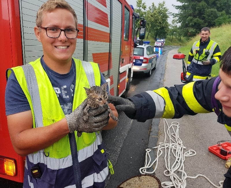 Mehrere technische Einsätze (Bild 2)